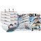 one piece moby dick barco