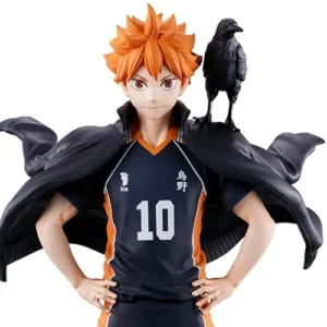 Haikyu: Shoyo Hinata (The Future of Karasuno)(Ichibansho)
